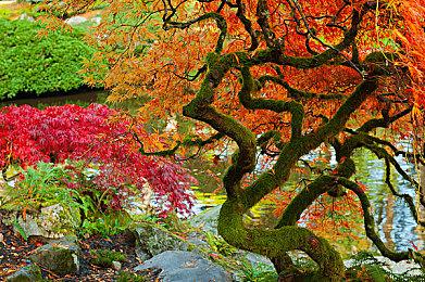 集英社肉鸽游戏《谜塔和孩子们》延期 爬塔冒险新游