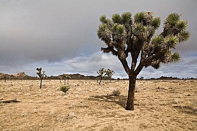 万代南梦宫成勒索软件攻击对象